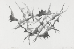 PTAKI IV