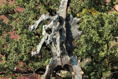SMOK WAWELSKI, 1969, brąz, wapień, 6 m, Kraków, Wawel