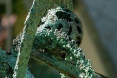 BIRTH OF A GREEN PLANET, 1995, detail