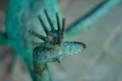 PEACOCK, 1990, detail