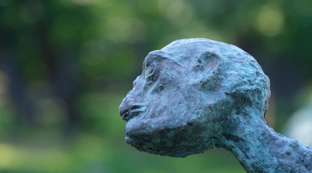 KOLARZE, 1993, detal