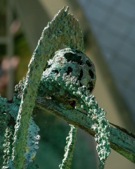 BIRTH OF A GREEN PLANET, 1995, detail