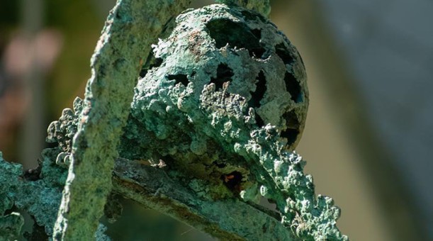 BIRTH OF A GREEN PLANET, 1995, detail
